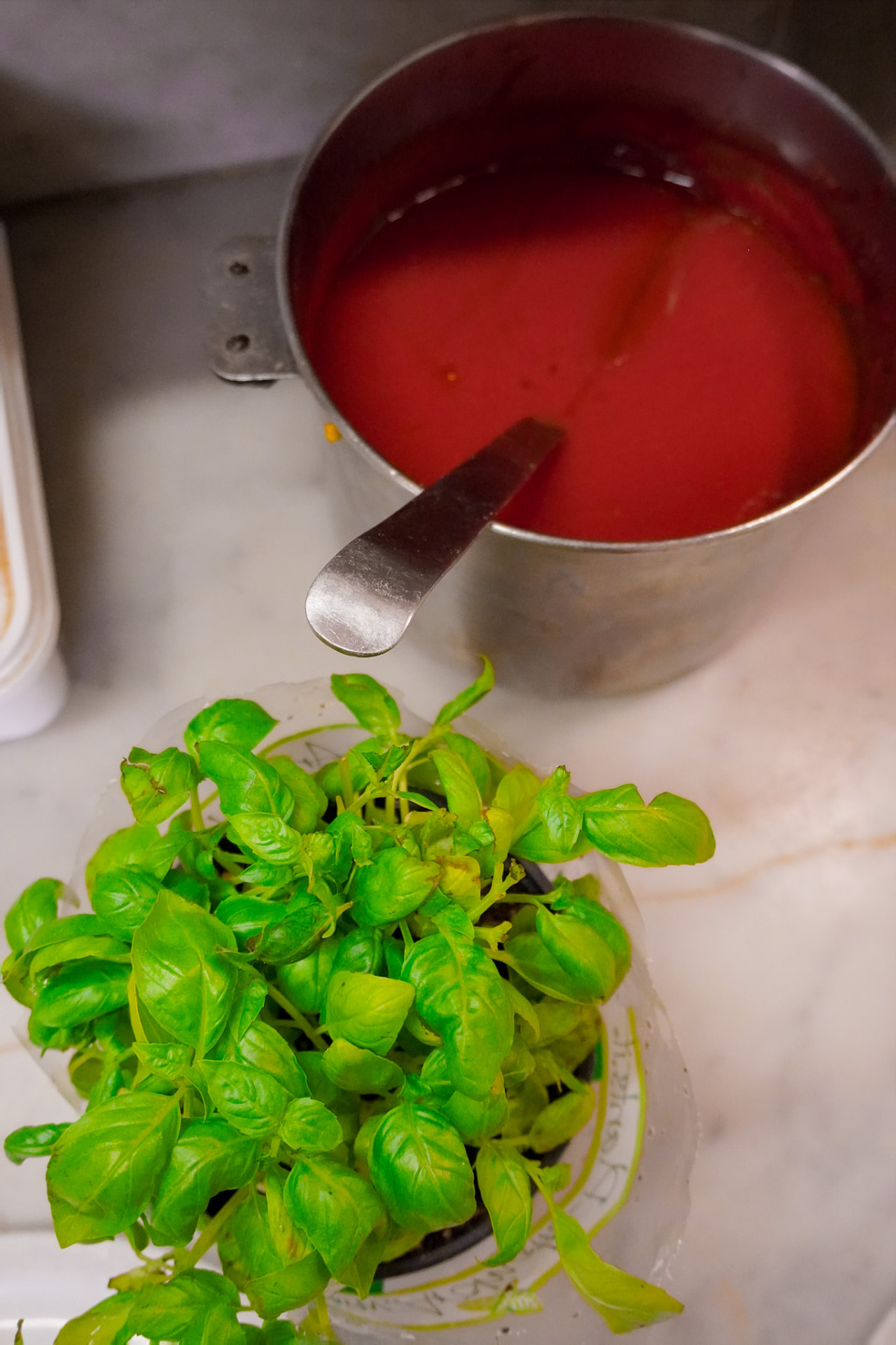 Salsa di pomodoro fresca e basilico usati per la pizza fatta a mano nella pizza class a Roma